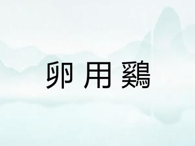 卵用鷄 卵用鷄