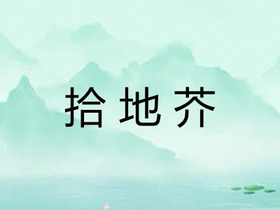 拾地芥 拾地芥