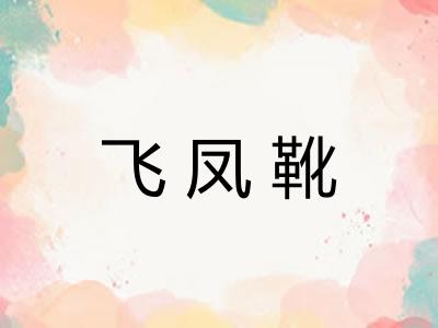 飞凤靴 飞凤靴