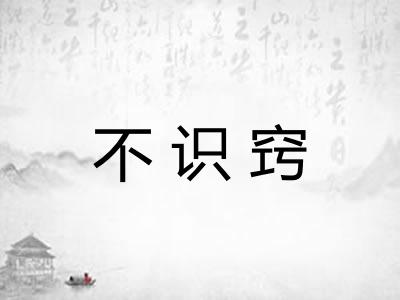 不识窍 不识窍