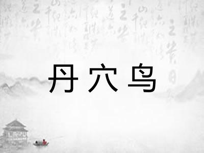 丹穴鸟 丹穴鸟