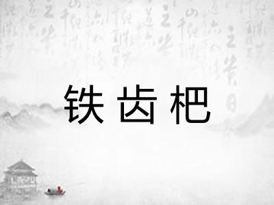 铁齿杷 铁齿杷