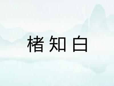 楮知白 楮知白