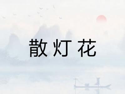 散灯花 散灯花