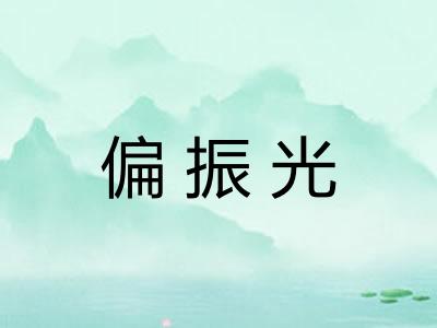 偏振光