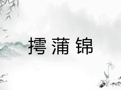 摴蒲锦 摴蒲锦