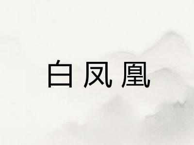 白凤凰 白凤凰