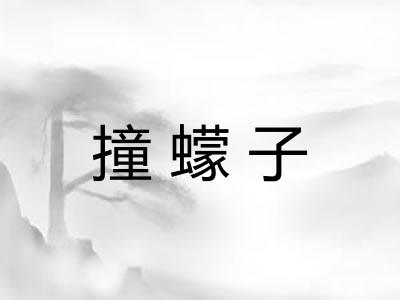 撞蠓子 撞蠓子