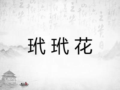 玳玳花 玳玳花