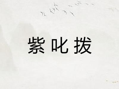 紫叱拨