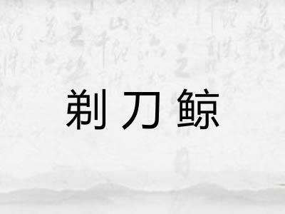 剃刀鲸 剃刀鲸