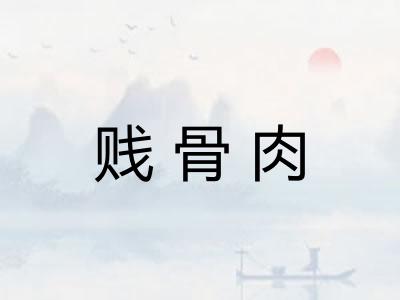 贱骨肉 贱骨肉