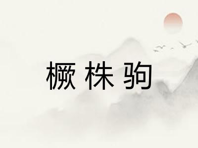 橛株驹 橛株驹