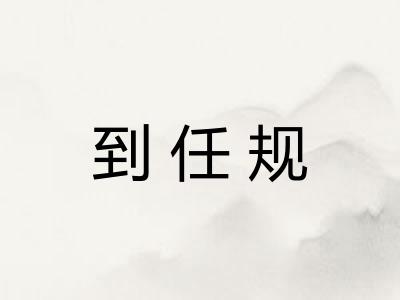 到任规 到任规