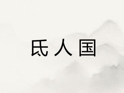 氐人国 氐人国