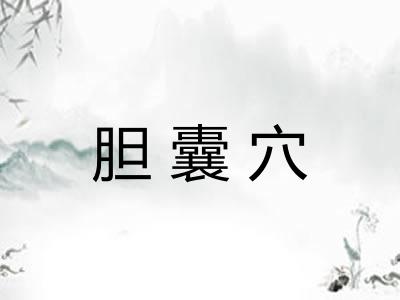 胆囊穴