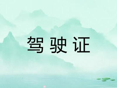 驾驶证 驾驶证