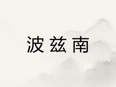 波兹南 波兹南