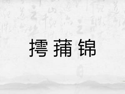 摴蒱锦 摴蒱锦