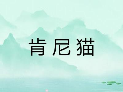 肯尼猫 肯尼猫