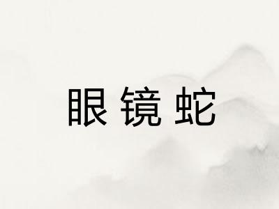 眼镜蛇 眼镜蛇