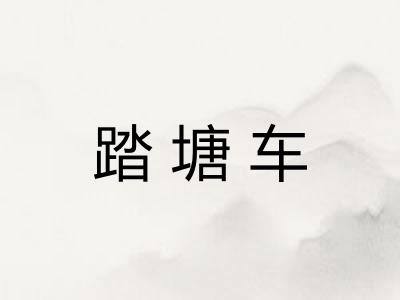 踏塘车 踏塘车
