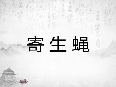寄生蝇 寄生蝇