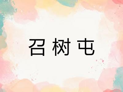 召树屯 召树屯
