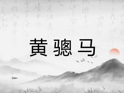 黄骢马