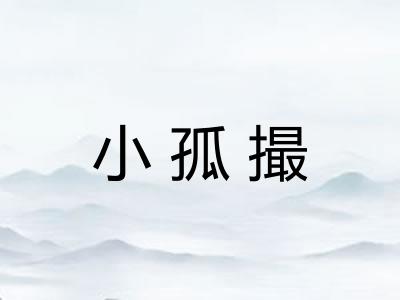 小孤撮 小孤撮
