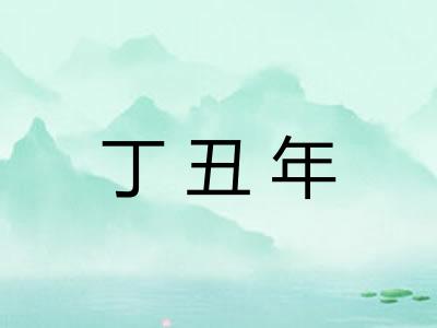 丁丑年 丁丑年