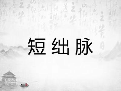 短绌脉