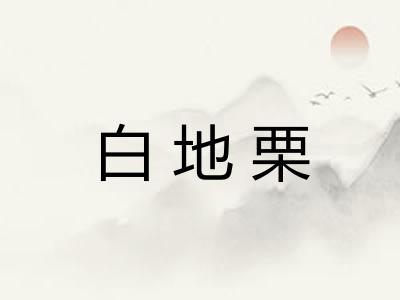 白地栗