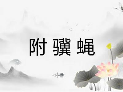 附骥蝇 附骥蝇