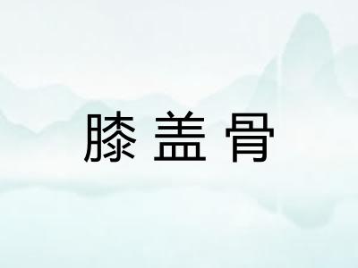 膝盖骨 膝盖骨