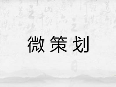 微策划 微策划