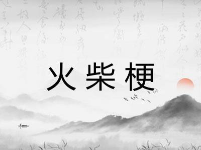 火柴梗 火柴梗