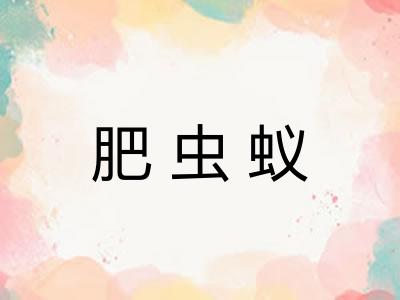 肥虫蚁 肥虫蚁
