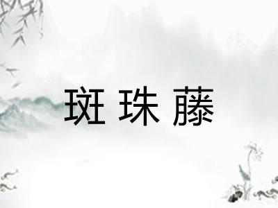斑珠藤 斑珠藤