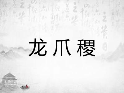 龙爪稷 龙爪稷