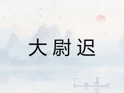 大尉迟 大尉迟
