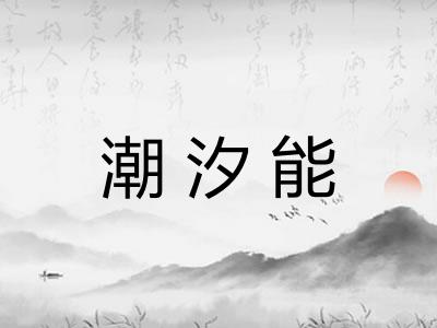 潮汐能 潮汐能