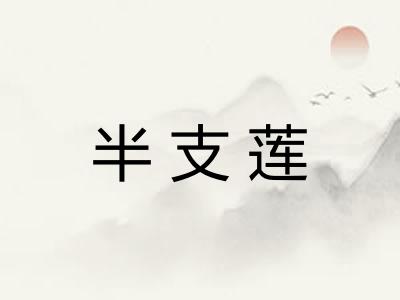 半支莲