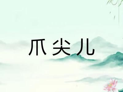 爪尖儿 爪尖儿