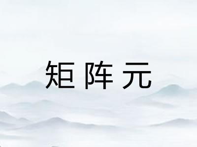 矩阵元 矩阵元