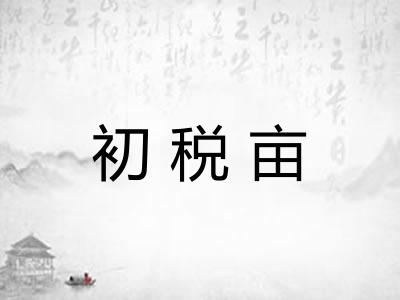 初税亩 初税亩