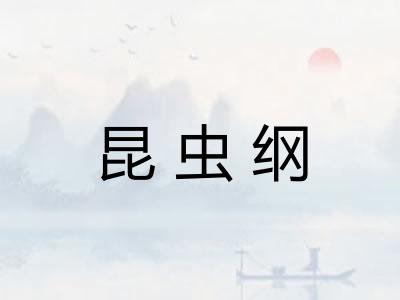 昆虫纲 昆虫纲