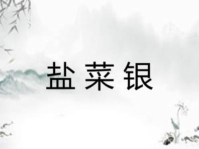 盐菜银 盐菜银