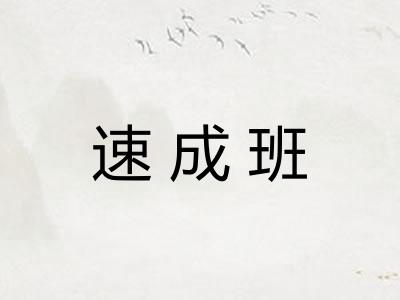 速成班 速成班