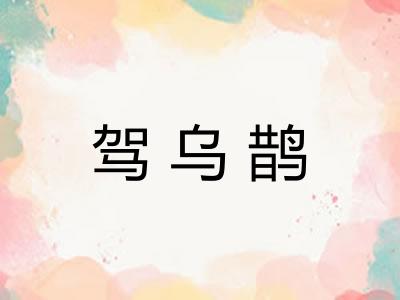 驾乌鹊 驾乌鹊